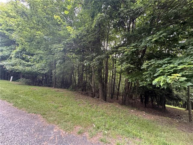 Land for sale in Watauga, North Carolina