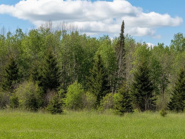 Land for sale in Beltrami, Minnesota