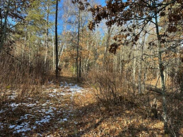 Land for sale in Hubbard, Minnesota
