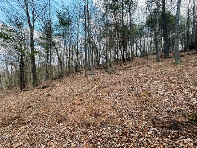 Land for sale in Virginia