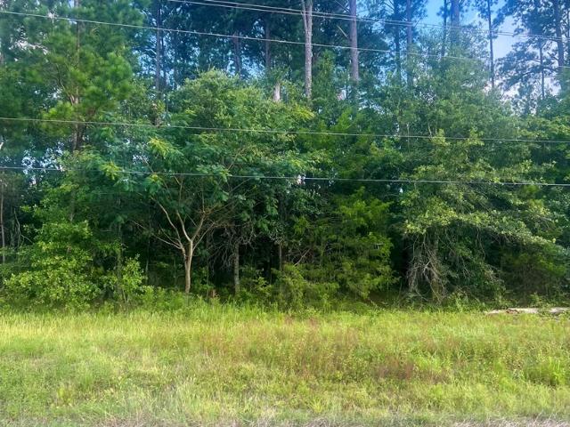 Land for sale in Cottonwood, Alabama