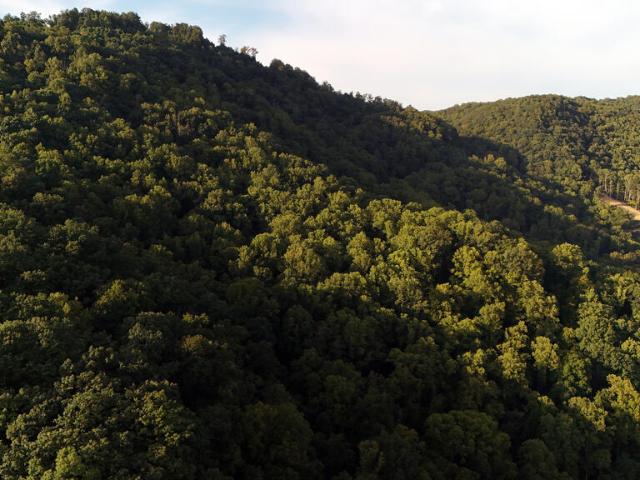 Land for sale in Patrick County, Virginia