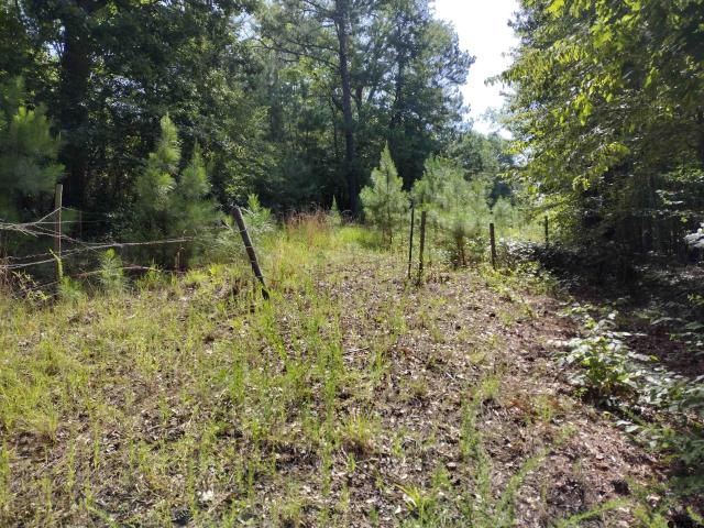 Land for sale in Marion, Texas