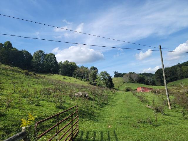 Land for sale in Independence, Grayson County