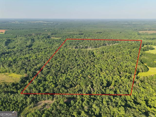 Land for sale in Cuthbert, Georgia