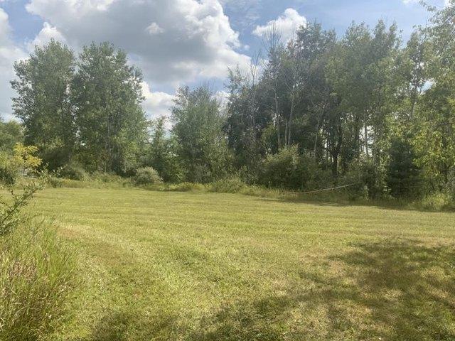 Land for sale in Carsonville, Michigan