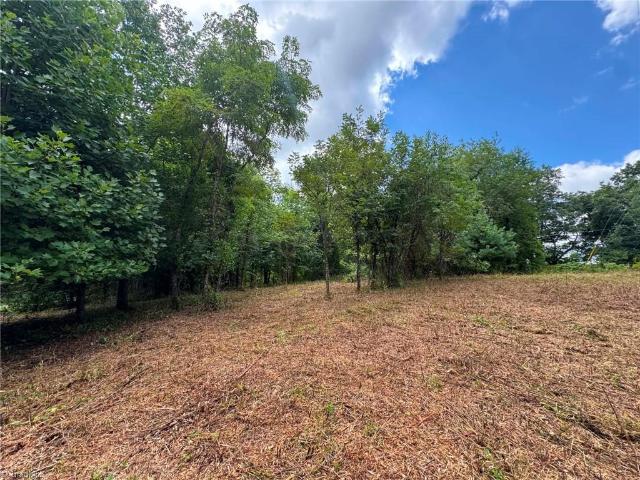 Land for sale in Alleghany, North Carolina