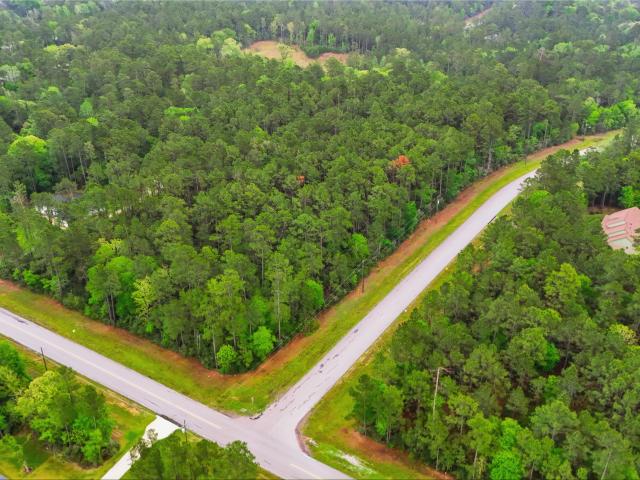 Land for sale in Walker, Texas