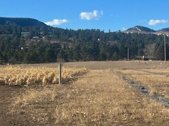 Farm for sale in Piedmont, South Dakota
