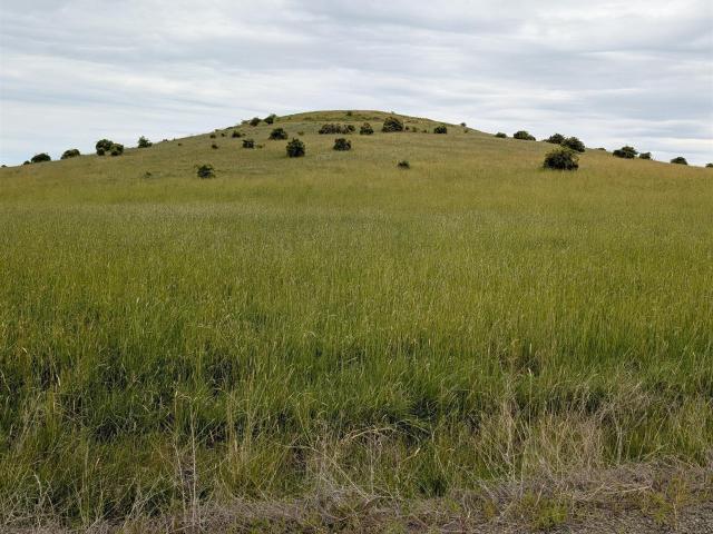 Land for sale in Grangeville, Idaho