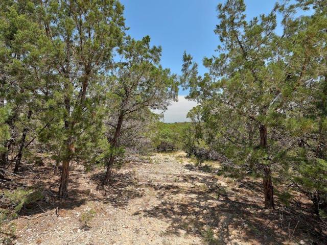 Land for sale in Dripping Springs, Hays County