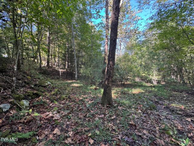 Land for sale in Clintwood, Dickenson County
