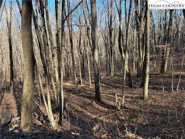 Land for sale in Todd, North Carolina