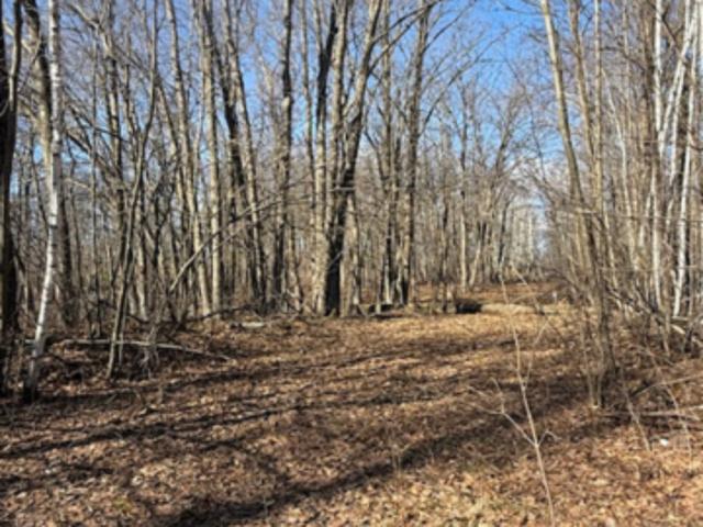 Land for sale in Morrison, Minnesota