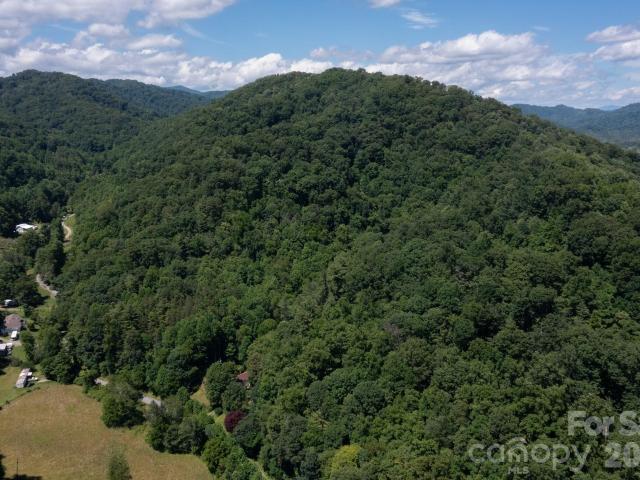 Land for sale in Mars Hill, North Carolina
