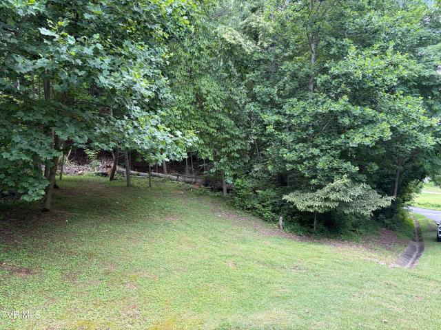Land for sale in Virginia
