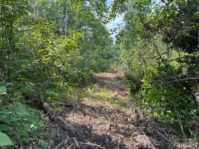 Land for sale in Beltrami, Minnesota