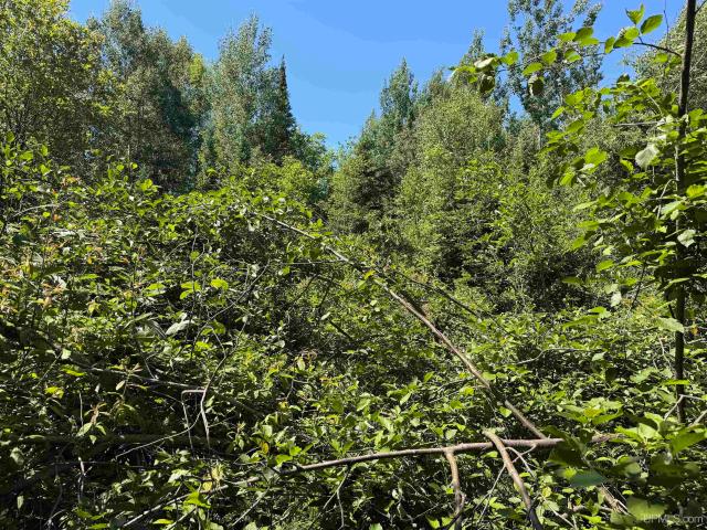 Land for sale in Michigan