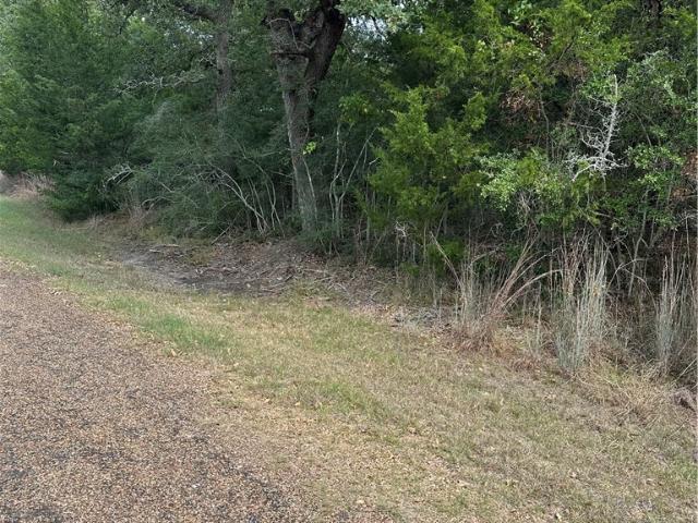 Land for sale in Somerville, Texas