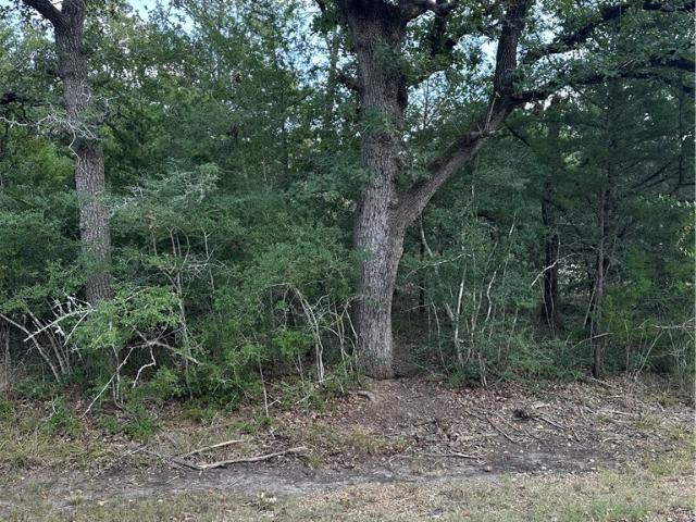 Land for sale in Somerville, Texas