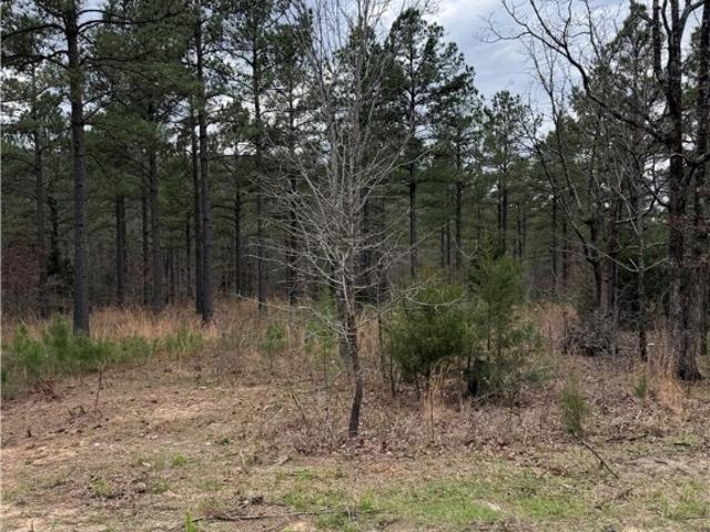 Land for sale in Wister, Oklahoma