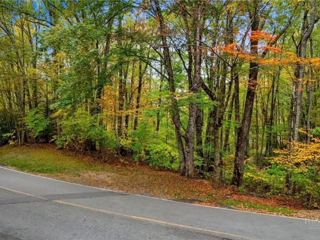 Land for sale in Banner Elk, Avery County