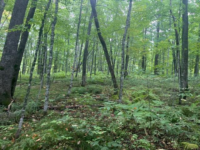 Land for sale in Wisconsin