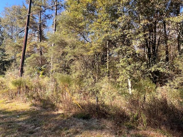 Property for sale in Tylertown, Mississippi