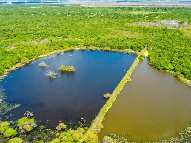 Property for sale in Lyford, Texas