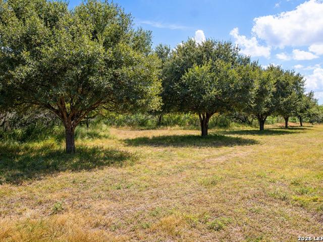 Farm for sale in Lyford, Texas