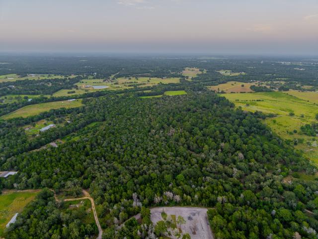 Land for sale in New Ulm, Austin County