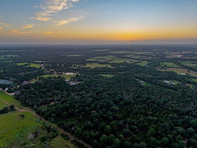 Land for sale in New Ulm, Austin County