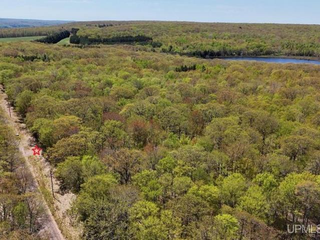 Land for sale in Houghton, Michigan