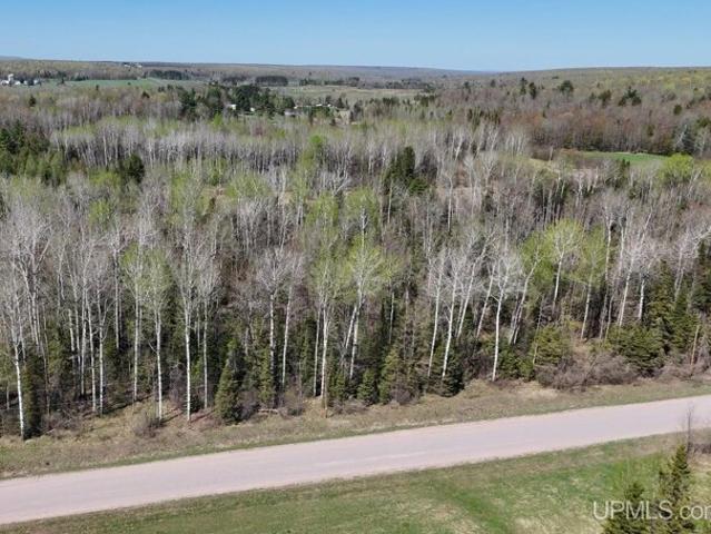 Land for sale in Chassell