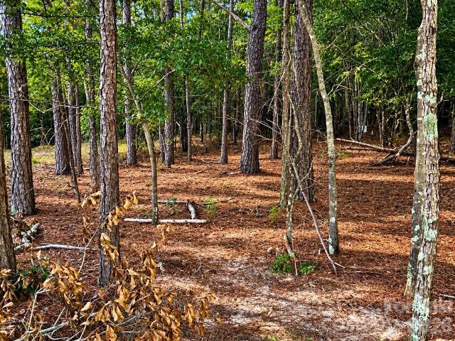 Land for sale in Heath Springs, Lancaster County
