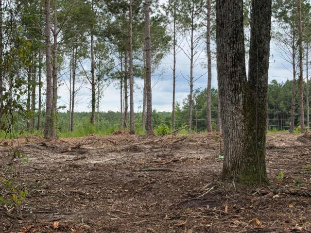 Land for sale in Scotland, North Carolina