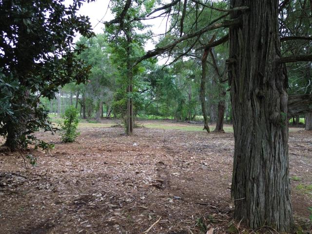 Land for sale in Scotland, North Carolina