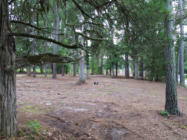 Land for sale in Scotland, North Carolina