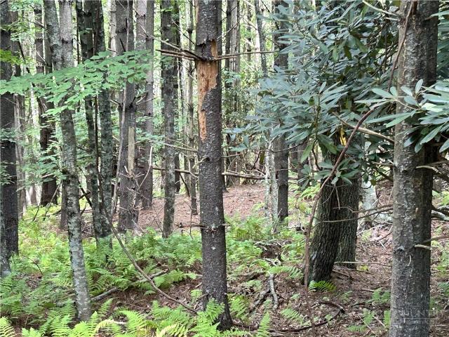 Land for sale in Jefferson, North Carolina