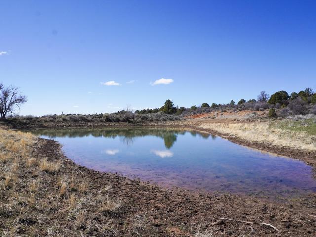 Land for sale in Dove Creek, Colorado