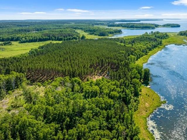 Land for sale in Walker, Minnesota