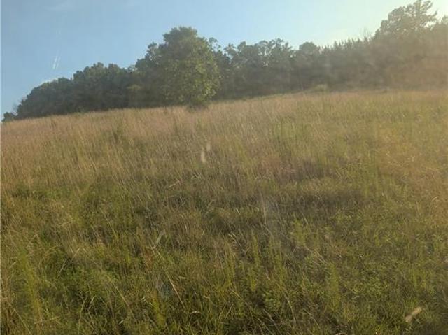 Land for sale in Davidson, North Carolina