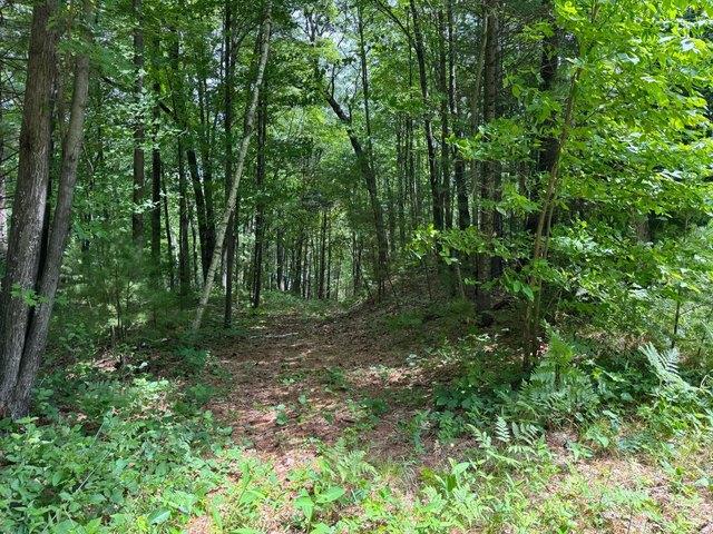 Land for sale in Siren, Wisconsin