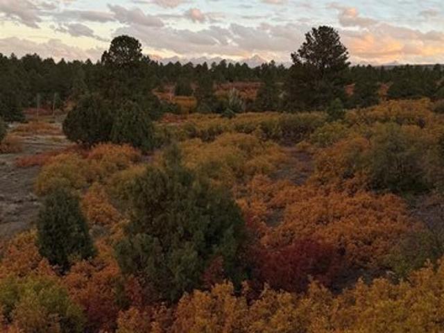 Land for sale in Montrose, Colorado