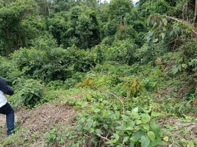 Terreno venda em Região Imediata de São Paulo, Região Metropolitana de São Paulo