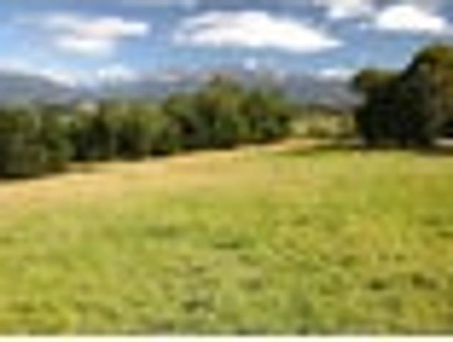 Land for sale in Southland