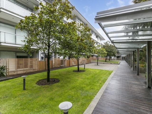 Apartment for rent in Mount Cook, Wellington