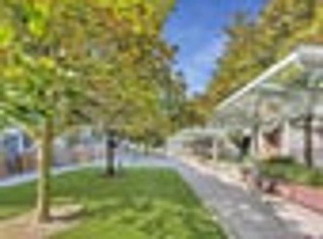 Apartment for rent in Mount Cook, Wellington