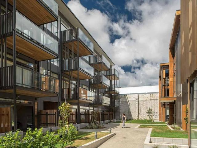 Apartment for rent in Mount Cook, Wellington