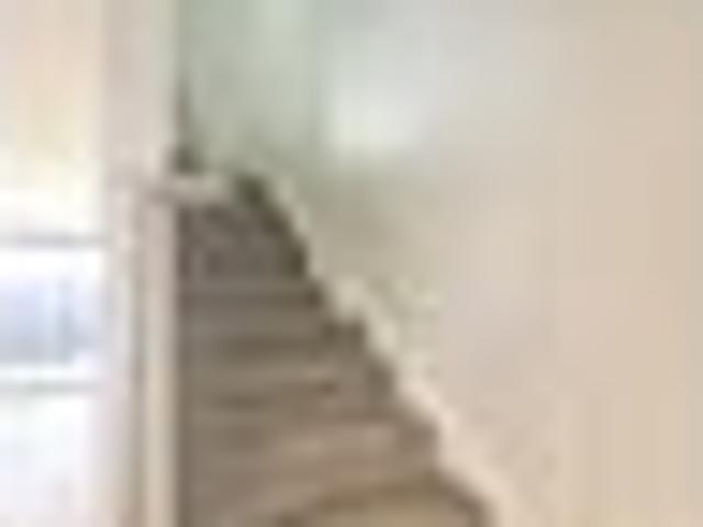 Apartment for rent in Rapanui
